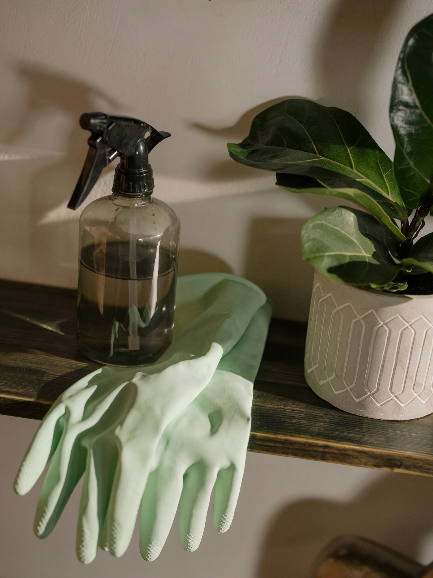 Others / Home Essentials